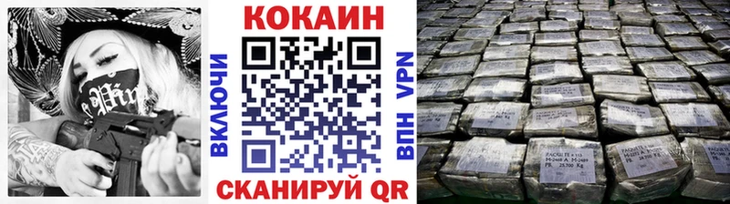 Купить закладки  Нестеровская  COCAIN Columbia 