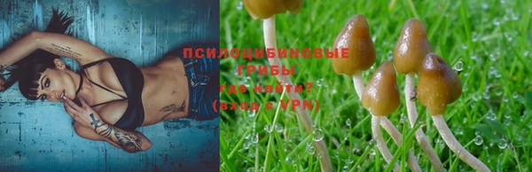 МДПВ Навашино