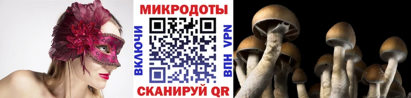 Купить где  Нестеровская  Галлюциногенные грибы мухоморы 