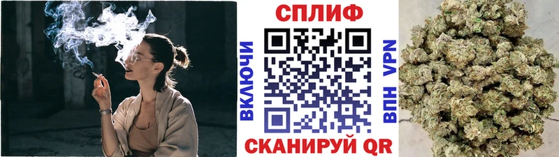 Конопля гибрид  Купить  Нестеровская 